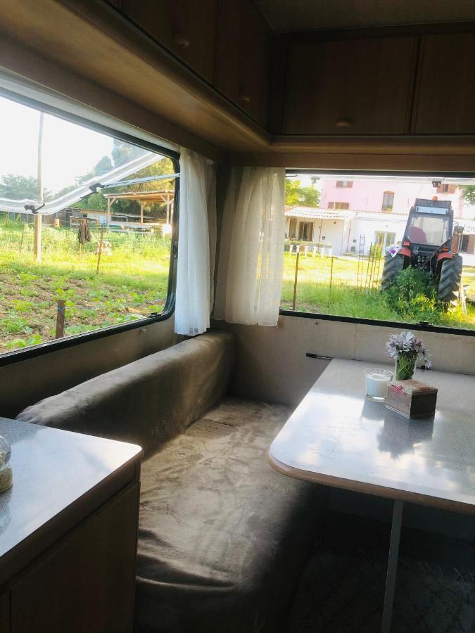La Ferme De Rotani Hotel Aleria  Bagian luar foto